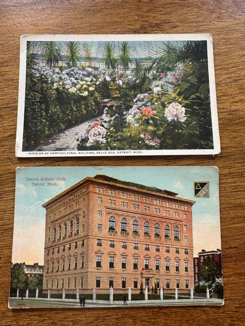 Vintage Detroit MI Postcard Lot Belle Isle Horticultural Building DAC Unused